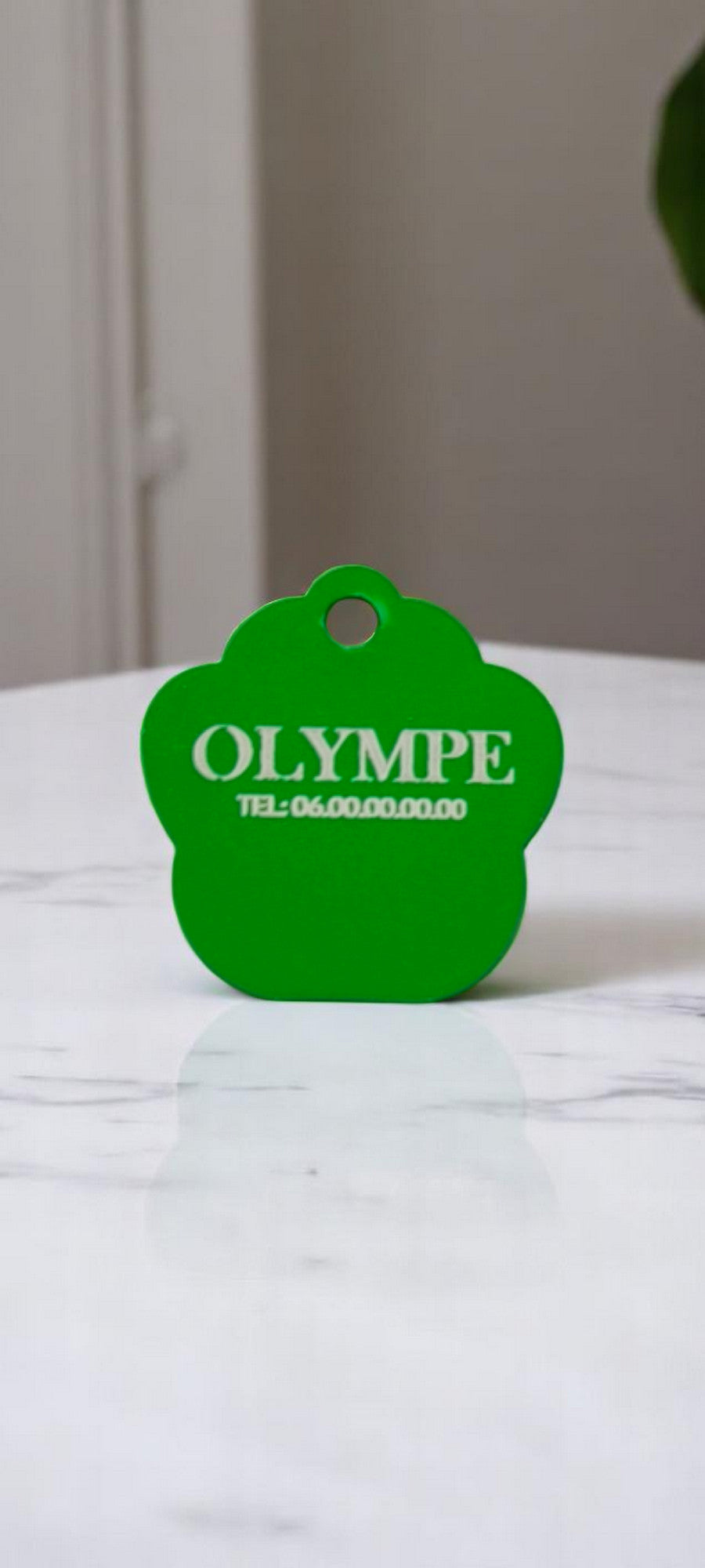 Médaillon patte vert