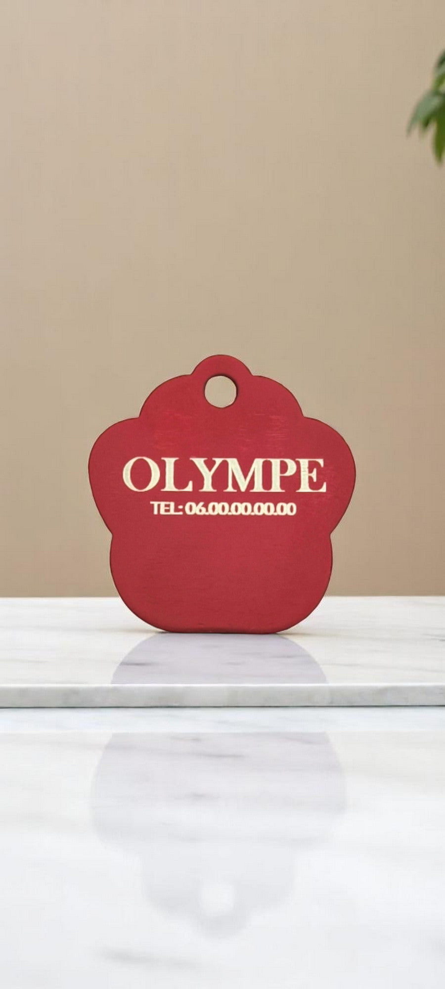 Médaillon patte rouge