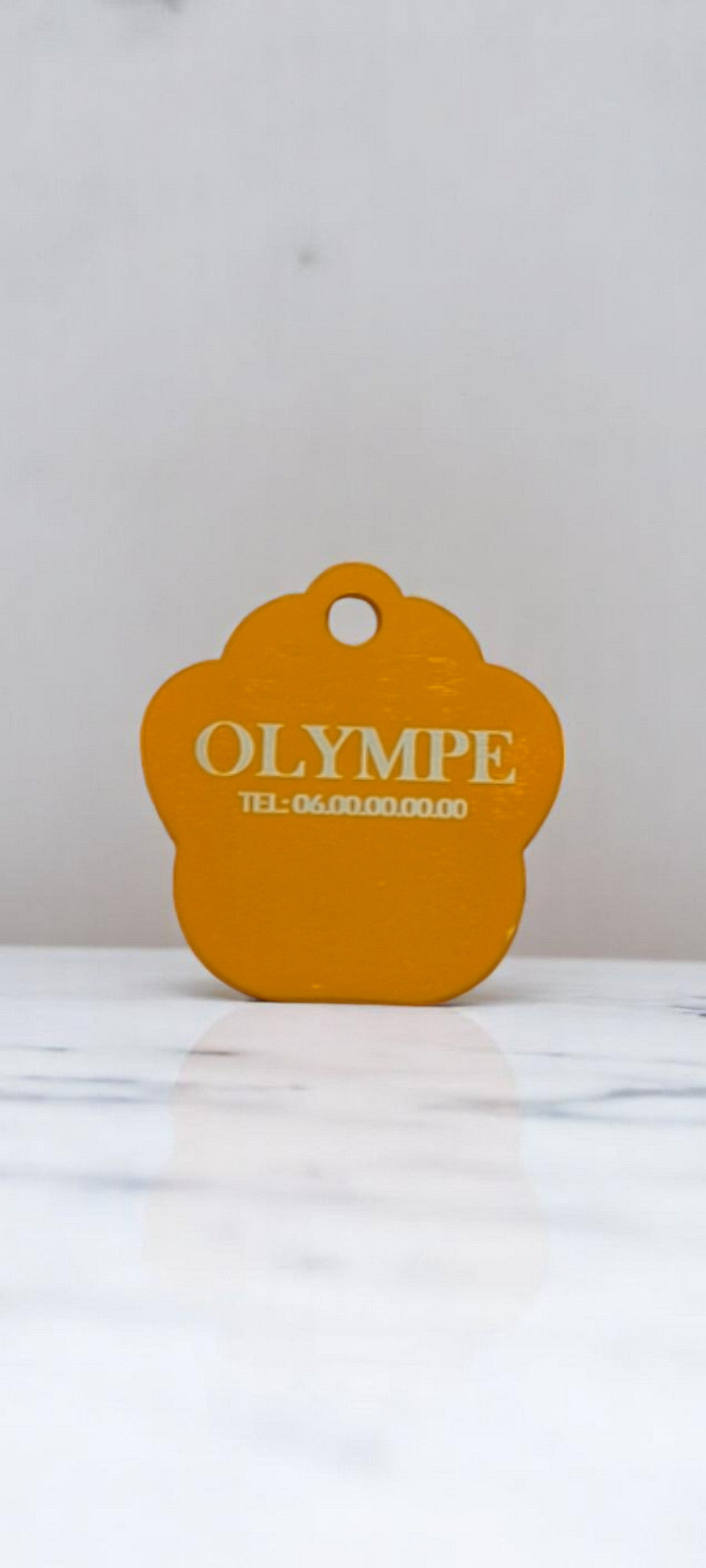 Médaillon patte orange