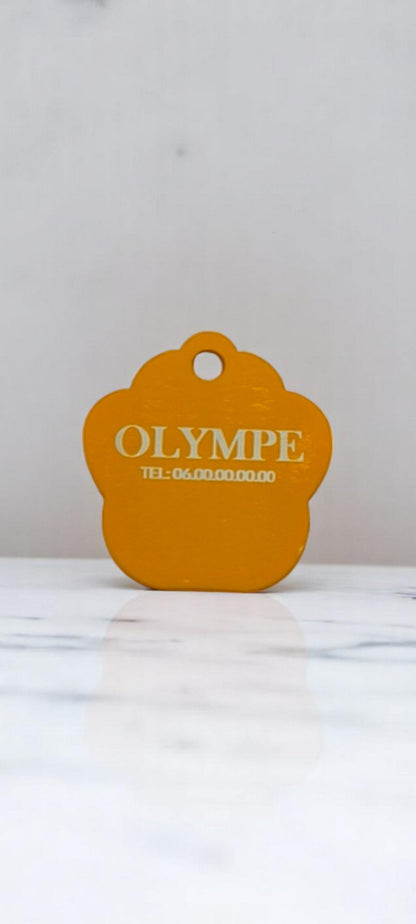 Médaillon patte orange
